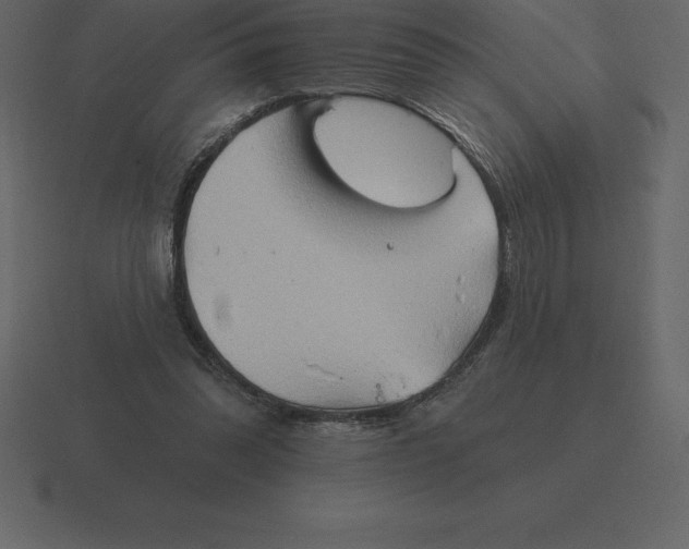 X0000116630302200912241817