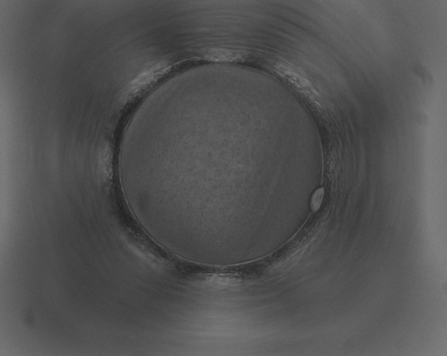 X0000116630303200912241817