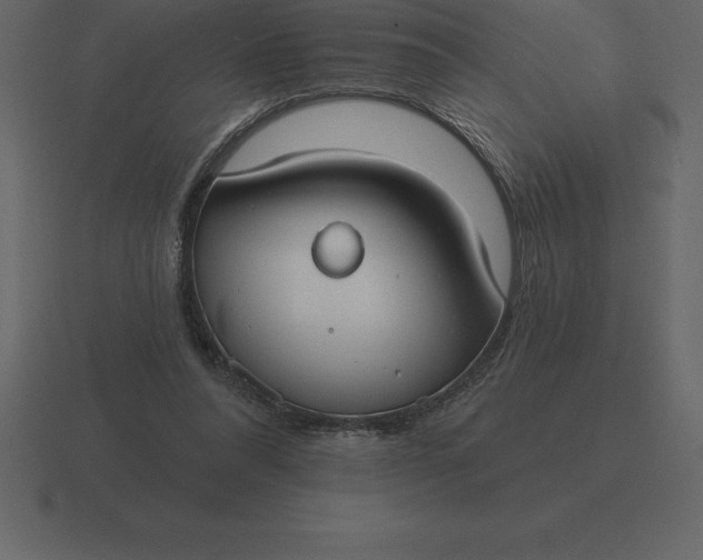 X0000116630304200912241817