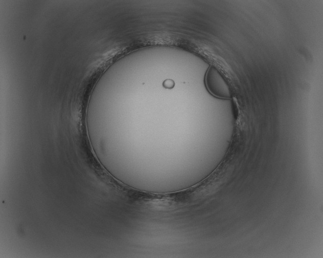 X0000116630306200912241817