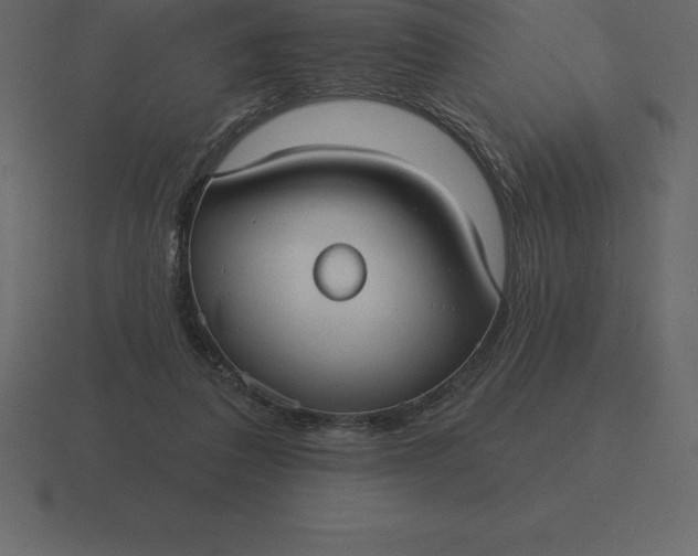 X0000116630308200912241817