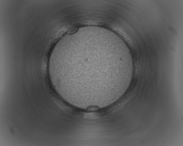 X0000116630309200912241817