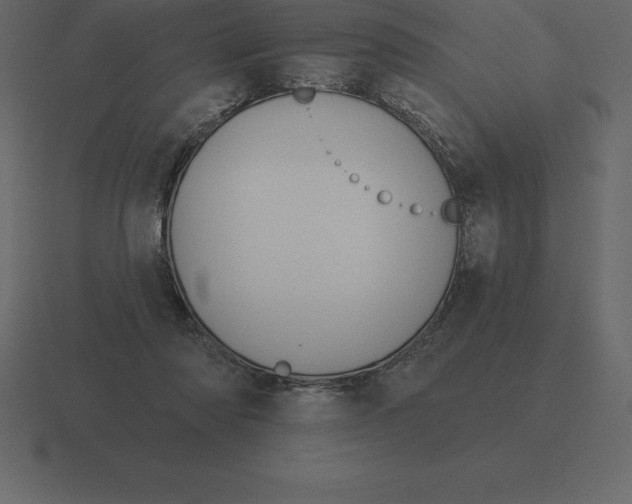 X0000116630310200912241817