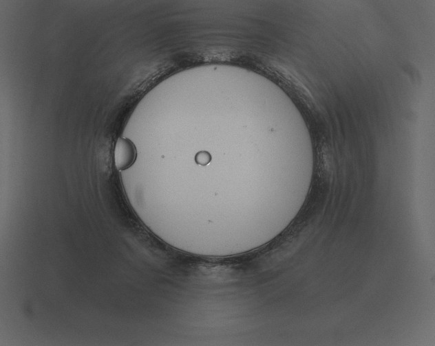 X0000116630311200912241817