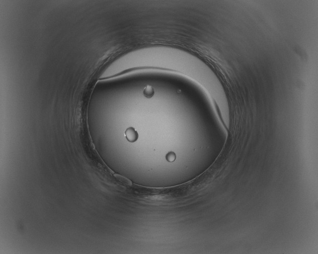 X0000116630312200912241817