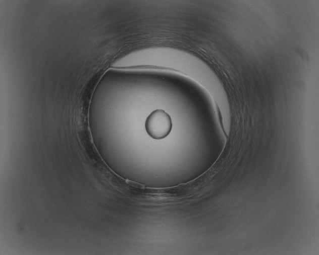 X0000116630316200912241817