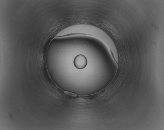 X0000116630320200912241817