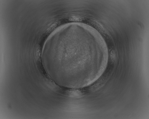 X0000116630322200912241817