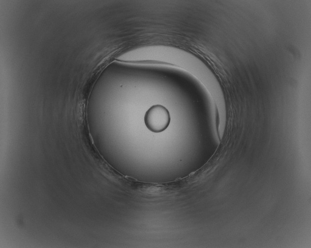 X0000116630325200912241817