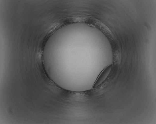 X0000116630329200912241817