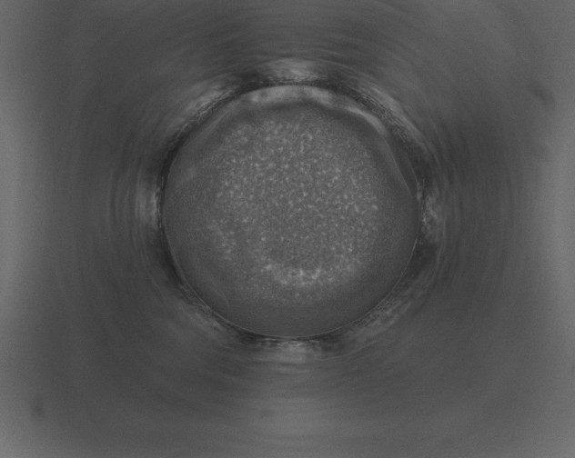 X0000116630330200912241817