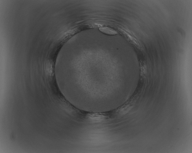 X0000116630331200912241817