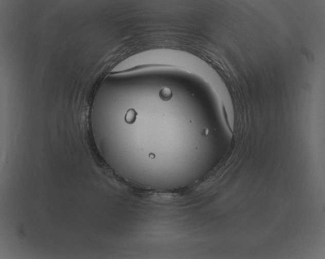 X0000116630332200912241817