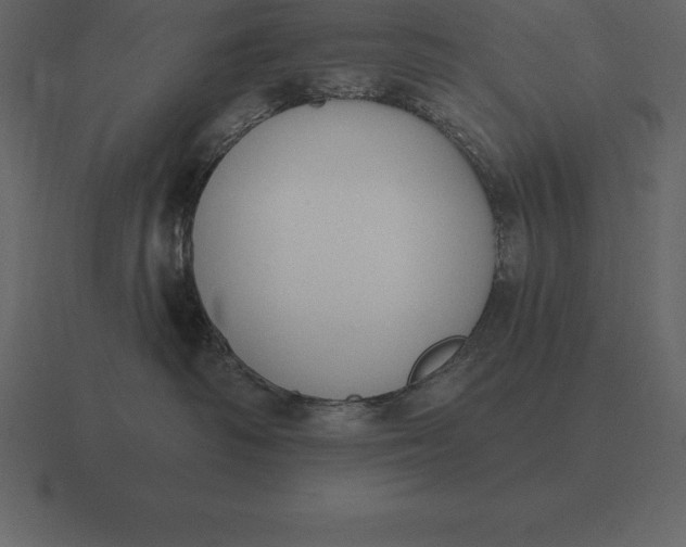 X0000116630334200912241817