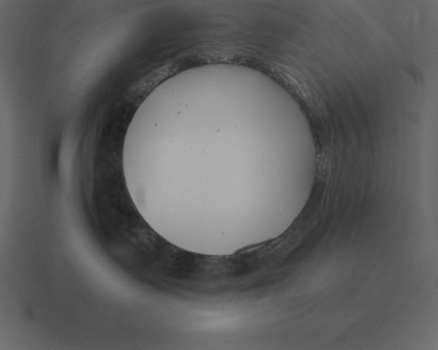 X0000116630335200912241817