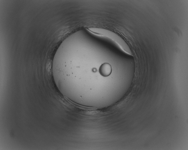 X0000116630336200912241817