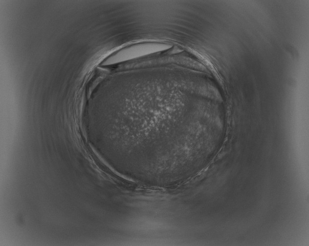 X0000116630337200912241816