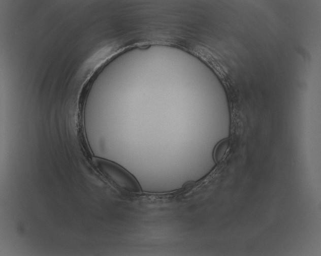 X0000116630338200912241816