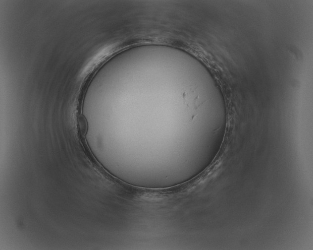 X0000116630341200912241816