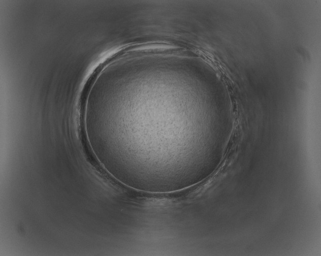 X0000116630342200912241816