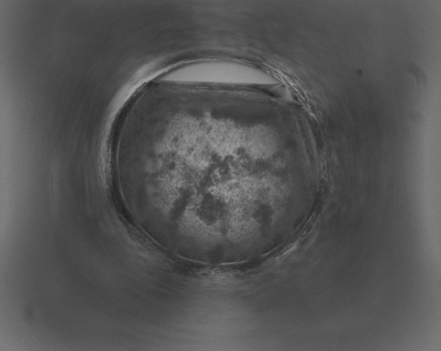 X0000116630343200912241816