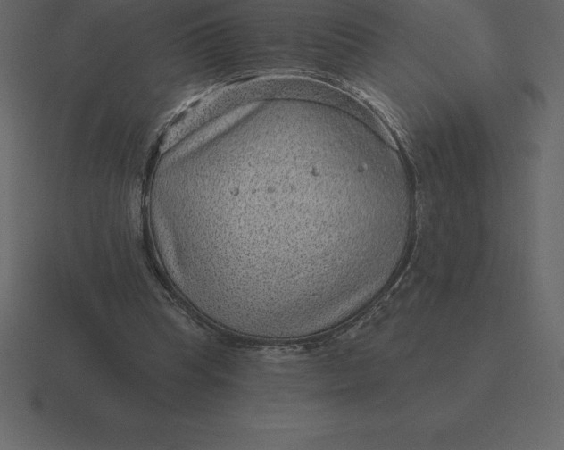 X0000116630345200912241816