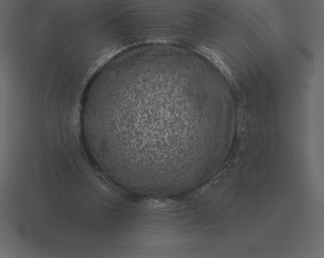 X0000116630346200912241817