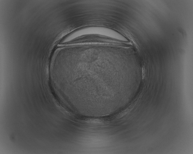 X0000116630349200912241817