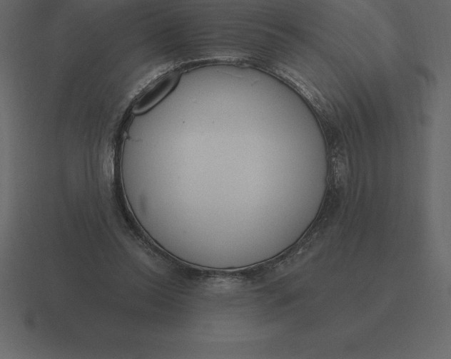 X0000116630350200912241817