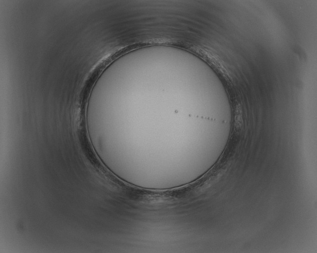 X0000116630351200912241817