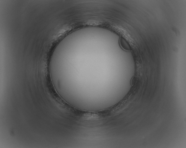 X0000116630354200912241817