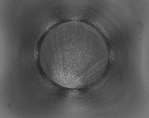 X0000116630355200912241817