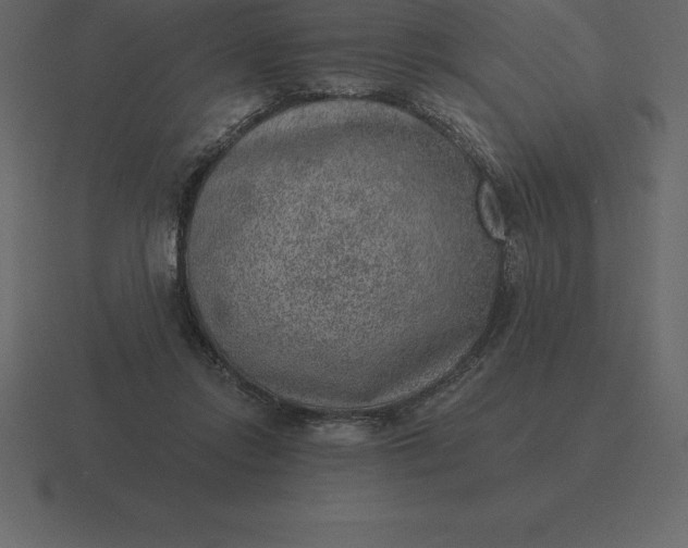 X0000116630358200912241817