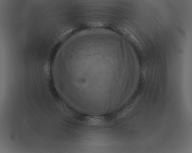 X0000116630359200912241817