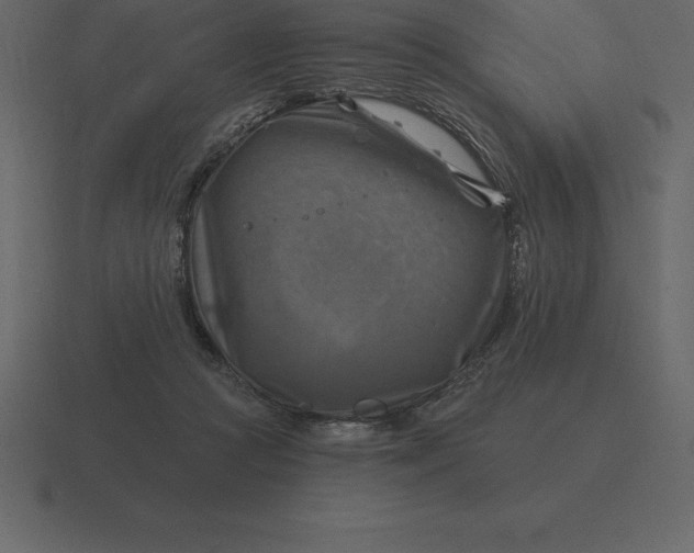 X0000116630361200912241817