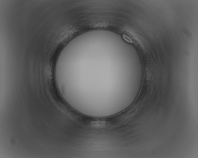 X0000116630362200912241817