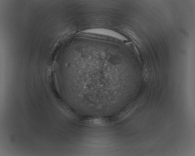 X0000116630365200912241817