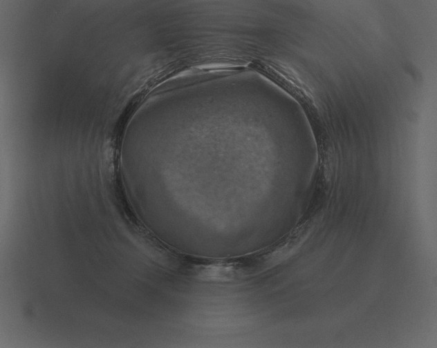 X0000116630366200912241817