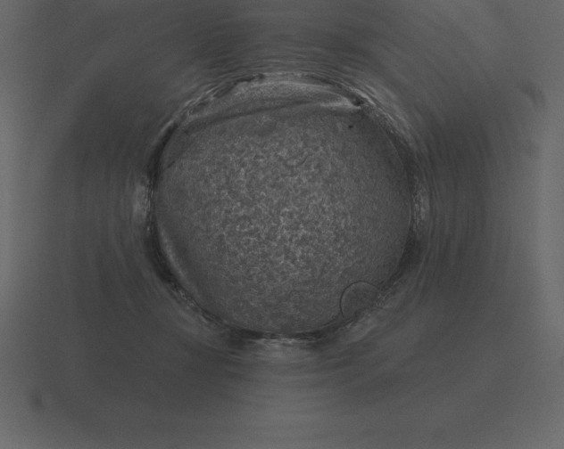 X0000116630367200912241817