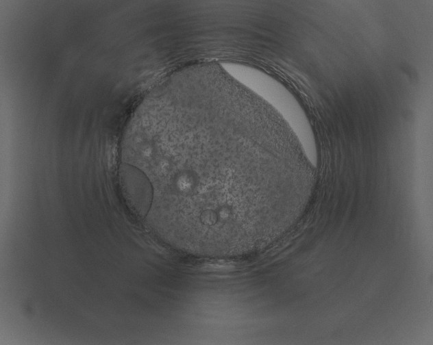 X0000116630369200912241817