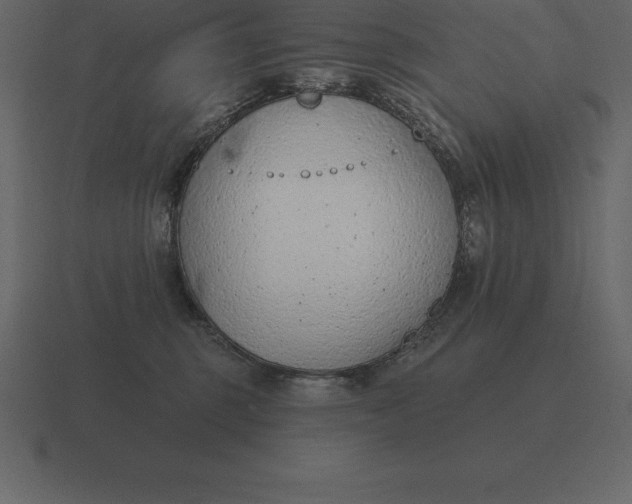 X0000116630375200912241817