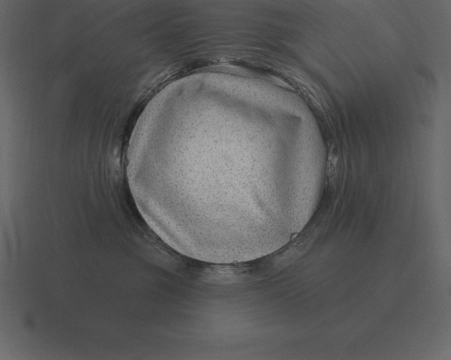 X0000116630381200912241817