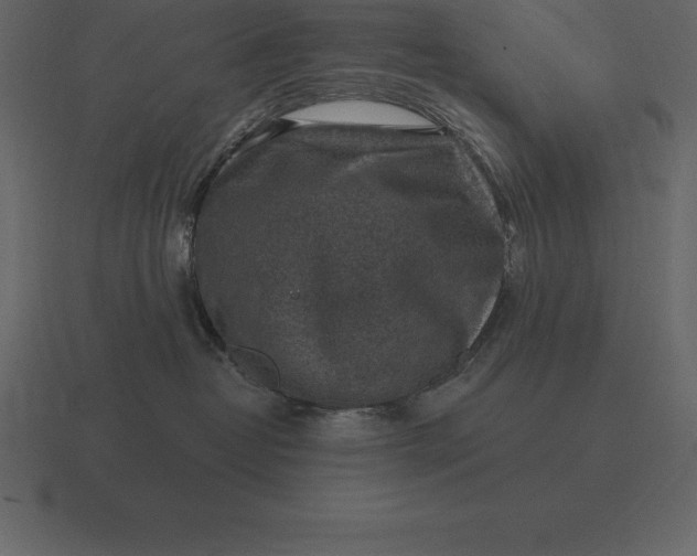 X0000116630382200912241817