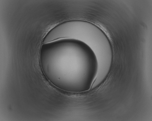 X0000116630385200912241816