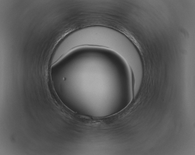 X0000116630386200912241816