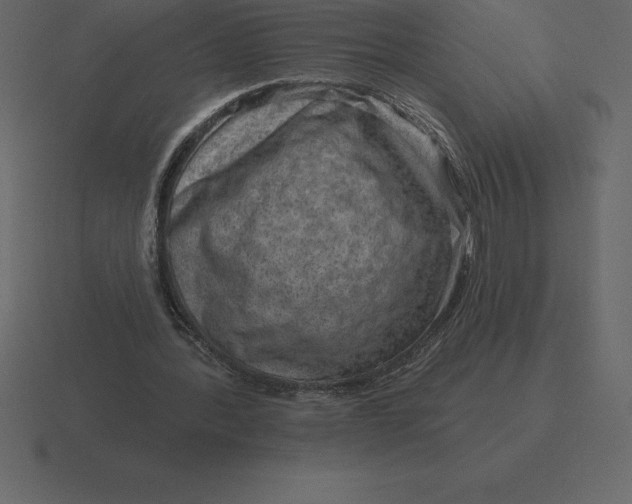 X0000116630388200912241816