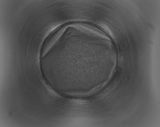 X0000116630389200912241816