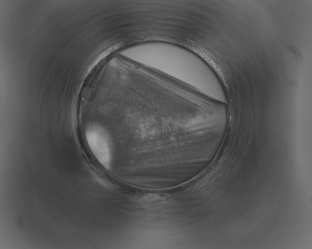 X0000116630390200912241816