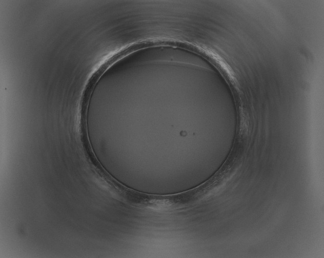 X0000116630391200912241816