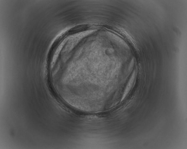 X0000116630392200912241816